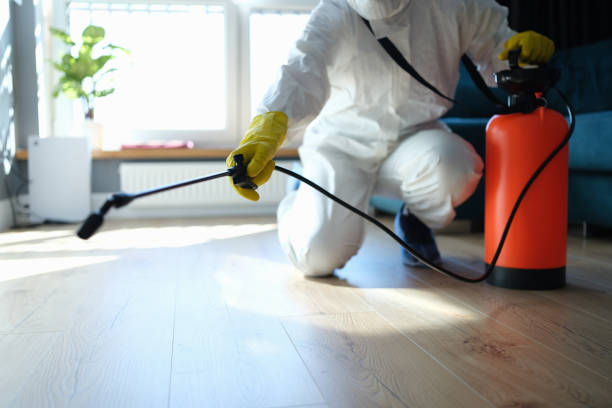 Reliable Odor Removal contractor in New Haven, MO by Trauma Clean Pros